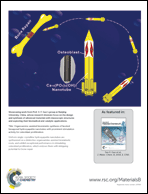 Graphical abstract: Back cover