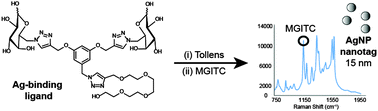 Graphical abstract: SERS enhancement of silver nanoparticles prepared by a template-directed triazole ligand strategy