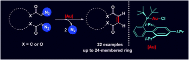Graphical abstract: Gold-catalyzed intramolecular diazo coupling: an efficient macrocyclization towards cyclic olefins