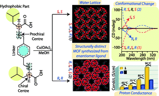 Graphical abstract: Can enantiomer ligands produce structurally distinct homochiral MOFs?