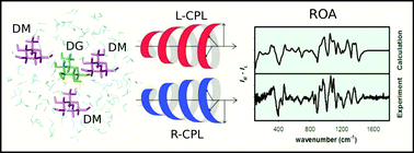 Graphical abstract: Simulation of Raman optical activity of multi-component monosaccharide samples