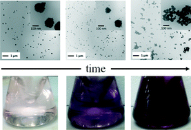 Graphical abstract: Room temperature seed mediated growth of gold nanoparticles: mechanistic investigations and life cycle assesment