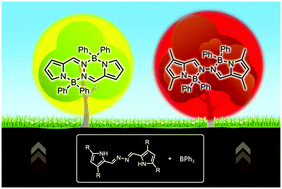 Graphical abstract: Synthesis and spectroscopic properties of novel N–N linked bis-(diphenylboron) complexes