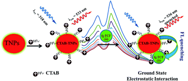 Graphical abstract: TNPs as a novel fluorescent sensor for the selective recognition of fast green FCF: a spectrofluorimetric approach