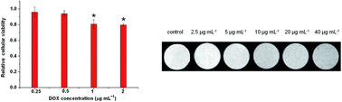 Graphical abstract: Assembly of Fe3O4 nanoparticles on PEG-functionalized graphene oxide for efficient magnetic imaging and drug delivery