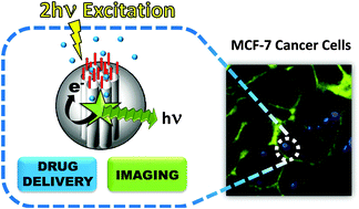 Graphical abstract: Disulfide-gated mesoporous silica nanoparticles designed for two-photon-triggered drug release and imaging