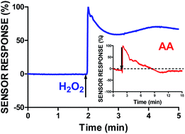 Graphical abstract: In vitro physiological performance factors of a catalase-based biosensor for real-time electrochemical detection of brain hydrogen peroxide in freely-moving animals