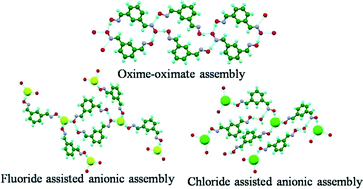 Graphical abstract: Anion assisted conformationally guided self-assemblies of multi-component cocrystals of dioxime