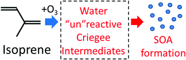 Graphical abstract: Water vapour effects on secondary organic aerosol formation in isoprene ozonolysis