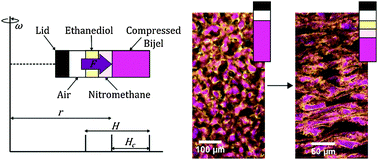 Graphical abstract: Compressing a spinodal surface at fixed area: bijels in a centrifuge