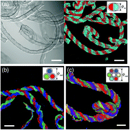 Graphical abstract: Twisting microfluidics in a planetary centrifuge