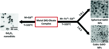 Graphical abstract: Synthesis of gadolinium oxide nanodisks and gadolinium doped iron oxide nanoparticles for MR contrast agents