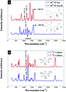 Graphical abstract: Towards improved quantitative analysis using surface-enhanced Raman scattering incorporating internal isotope labelling
