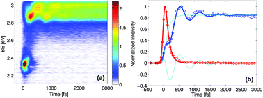 Graphical abstract: Coherence in nonradiative transitions: internal conversion in Rydberg-excited N-methyl and N-ethyl morpholine
