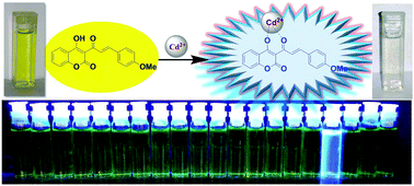 Graphical abstract: A coumarin–chalcone hybrid used as a selective and sensitive colorimetric and turn-on fluorometric sensor for Cd2+ detection