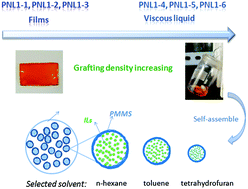 Graphical abstract: Unexpected self-assembly, photoluminescence behavior, and film-forming properties of polysiloxane-based imidazolium ionic liquids prepared by one-pot thiol–ene reaction