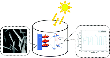 Graphical abstract: Spontaneous polarization field-enhanced charge separation for an iron oxide photo-catalyst