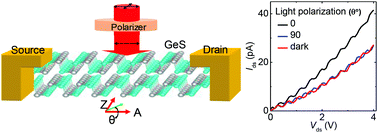 Graphical abstract: Polarization-sensitive and broadband germanium sulfide photodetectors with excellent high-temperature performance