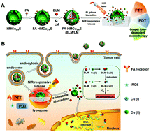 Graphical abstract: An intelligent NIR-responsive chelate copper-based anticancer nanoplatform for synergistic tumor targeted chemo-phototherapy