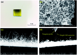 Graphical abstract: Benchmark characterization of the thermoelectric properties of individual single-crystalline CdS nanowires by a H-type sensor