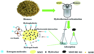 Graphical abstract: Hydrothermal synthesis of montmorillonite/hydrochar nanocomposites and application for 17β-estradiol and 17α-ethynylestradiol removal
