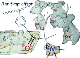 Graphical abstract: A general strategy to enhance the alkaline stability of anion exchange membranes