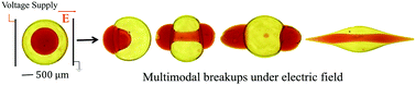 Graphical abstract: Multimodal breakup of a double emulsion droplet under an electric field