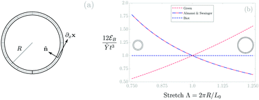 Graphical abstract: Contrasting bending energies from bulk elastic theories