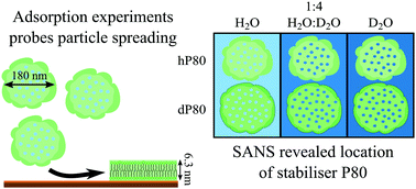 Graphical abstract: Interfacial properties of lipid sponge-like nanoparticles and the role of stabilizer on particle structure and surface interactions