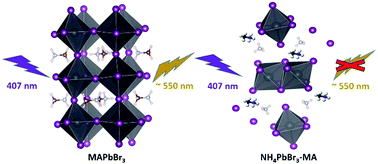 Graphical abstract: An optical fibre-based sensor for the detection of gaseous ammonia with methylammonium lead halide perovskite