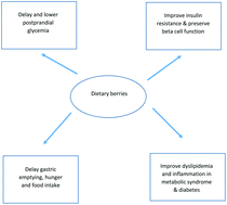 Graphical abstract: Dietary berries, insulin resistance and type 2 diabetes: an overview of human feeding trials
