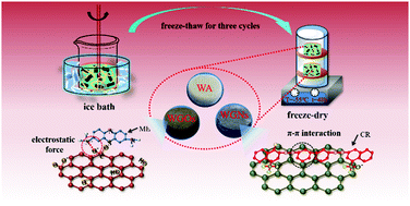 Graphical abstract: Graphene/waste-newspaper cellulose composite aerogels with selective adsorption of organic dyes: preparation, characterization, and adsorption mechanism