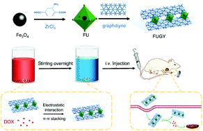 Graphical abstract: An integrated targeting drug delivery system based on the hybridization of graphdiyne and MOFs for visualized cancer therapy