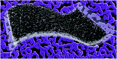 Graphical abstract: Vapor/liquid polymerization of ultraporous transparent and capacitive polypyrrole nanonets