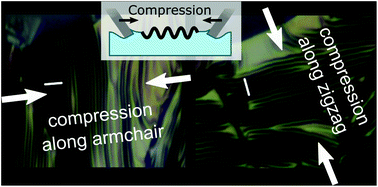 Graphical abstract: Anisotropic buckling of few-layer black phosphorus
