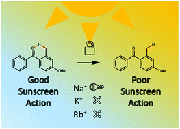 Graphical abstract: Sodium cationization can disrupt the intramolecular hydrogen bond that mediates the sunscreen activity of oxybenzone