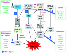 Graphical abstract: Impact of functional foods and nutraceuticals on high blood pressure with a special focus on meta-analysis: review from a public health perspective