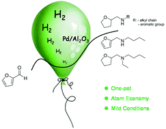 Graphical abstract: Conversion of furfural to tetrahydrofuran-derived secondary amines under mild conditions