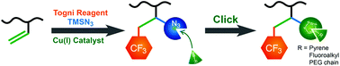 Graphical abstract: Modification of polybutadiene with trifluoromethyl and clickable azide groups in one shot