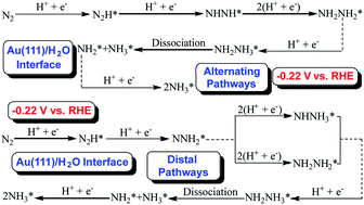 Graphical abstract: Theoretical insights into the electroreduction mechanism of N2 to NH3 from an improved Au(111)/H2O interface model