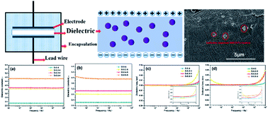 Graphical abstract: Structural evolution and dielectric properties of biaxially oriented polyethylene/multiwalled carbon nanotube composite films