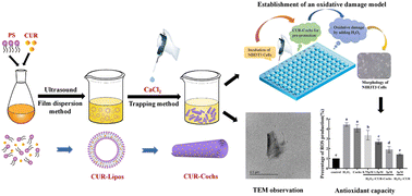 Graphical abstract: Preparation of curcumin-loaded cochleates: characterisation, stability and antioxidant properties