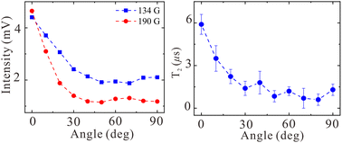 Graphical abstract: Magnetic-field-dependent spin properties of divacancy defects in silicon carbide