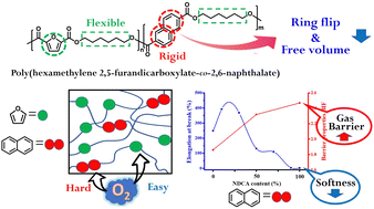 Graphical abstract: Bio-based poly(hexamethylene 2,5-furandicarboxylate-co-2,6-naphthalate) copolyesters: a study of thermal, mechanical, and gas-barrier properties