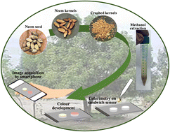 Graphical abstract: Detection of azadirachtin from neem kernels using a paper-based sandwich sensor