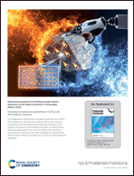 Graphical abstract: Back cover
