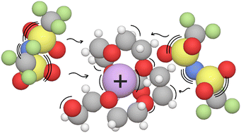 Graphical abstract: Coupled ion transport in concentrated PEO–LiTFSI polymer electrolytes