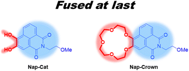 Graphical abstract: Synthesis of 3,4-dihydroxy-1,8-naphthalimides with inbuilt catechol and crown ether functionalities