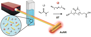 Graphical abstract: Wavelength-resolved near infra-red light induced free-radical polymerization