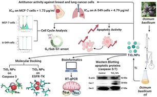 Graphical abstract: Facile sonochemically-assisted bioengineering of titanium dioxide nanoparticles and deciphering their potential in treating breast and lung cancers: biological, molecular, and computational-based investigations